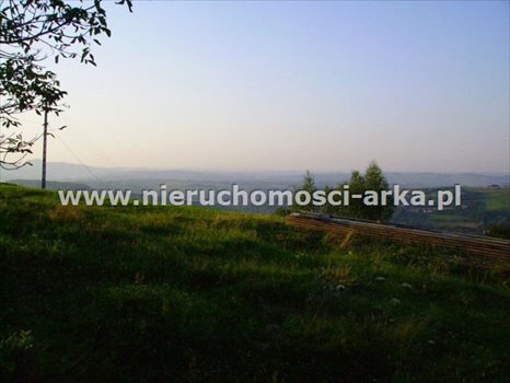 Działka budowlana na sprzedaż Dobra 14 000m2 Foto 5