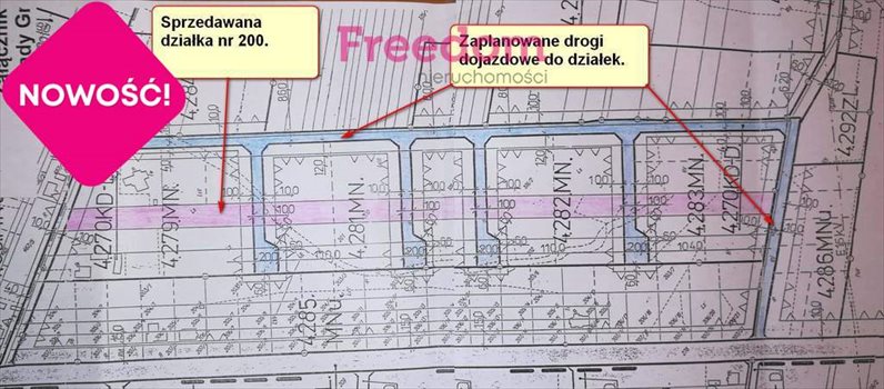 Działka budowlana na sprzedaż Bełchów 13 500m2 Foto 5