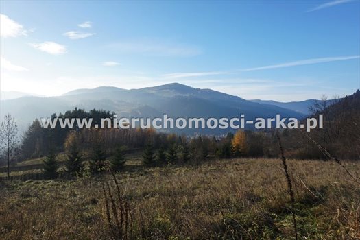 Działka rolna na sprzedaż Szczawa 1 650m2 Foto 5