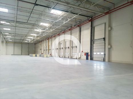 Lokal użytkowy na wynajem Elbląg 1 620m2 Foto 4
