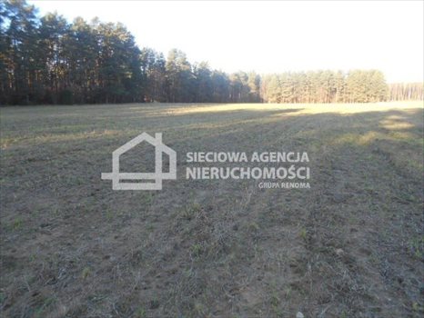 Działka budowlana na sprzedaż Rokity 1 246m2 Foto 7