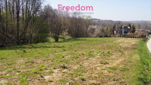 Działka budowlana na sprzedaż Krzywaczka 4 589m2 Foto 6