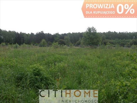 Działka budowlana na sprzedaż Warszawa, Wawer, Fromborska 1 259m2 Foto 5