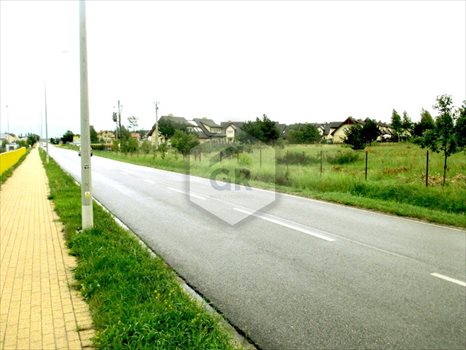 Działka budowlana na sprzedaż Bojano, Józefa Wybickiego 1 555m2 Foto 6