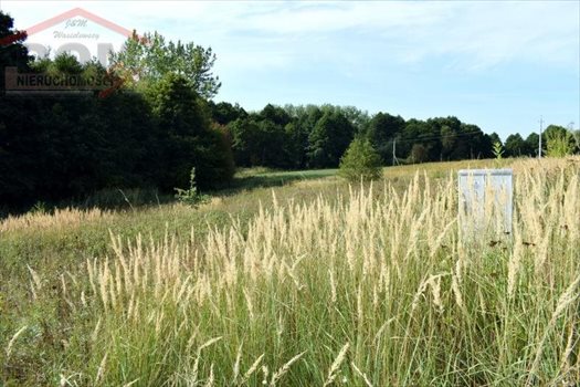 Działka inna na sprzedaż Gudowo, Jezioro, Kościół, Las, Plac zabaw, Przystanek auto 7 892m2 Foto 8