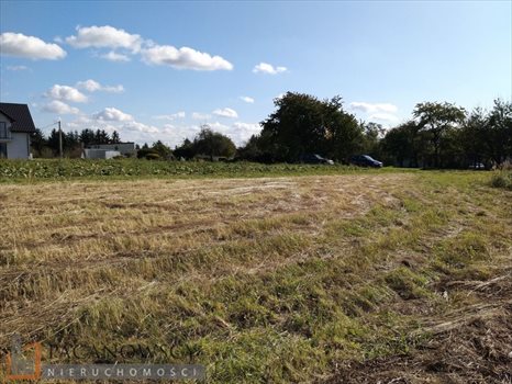 Działka budowlana na sprzedaż Batowice 800m2 Foto 4
