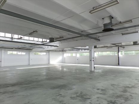 Lokal użytkowy na wynajem Radom 2 150m2 Foto 5
