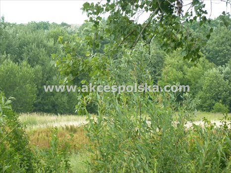 Działka budowlana na sprzedaż Warszawa, Wilanów, Rzodkiewki 2 350m2 Foto 2