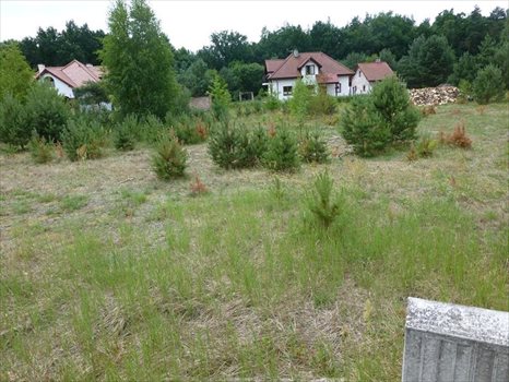 Działka inna na sprzedaż Kwakowo, Krótka 1 366m2 Foto 3