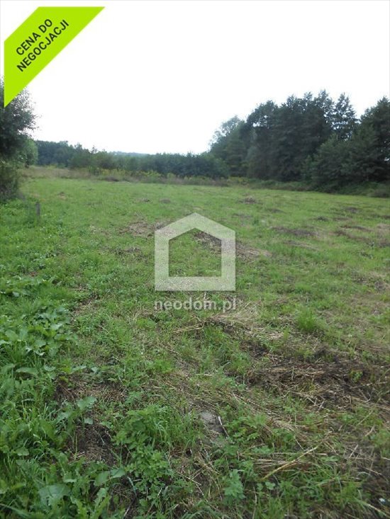 Działka budowlana na sprzedaż Trąbki 1 100m2 Foto 2