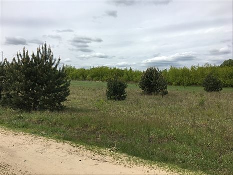 Działka budowlana na sprzedaż Kobylanka 973m2 Foto 3