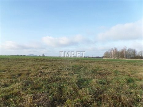 Działka budowlana na sprzedaż Jerzmanki 1 050m2 Foto 10