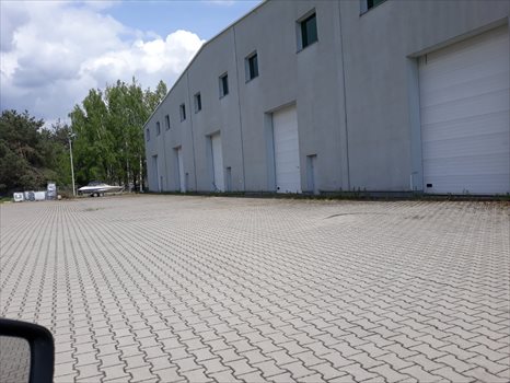 Lokal użytkowy na wynajem Kielce 1 780m2 Foto 5