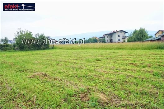Działka budowlana na sprzedaż Rybarzowice 3 300m2 Foto 3
