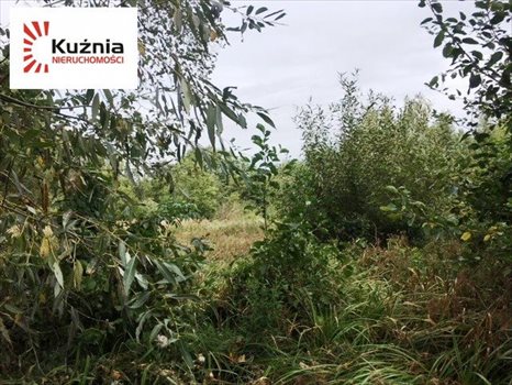 Działka budowlana na sprzedaż Siestrzeń, Łąkowa 2 064m2 Foto 3