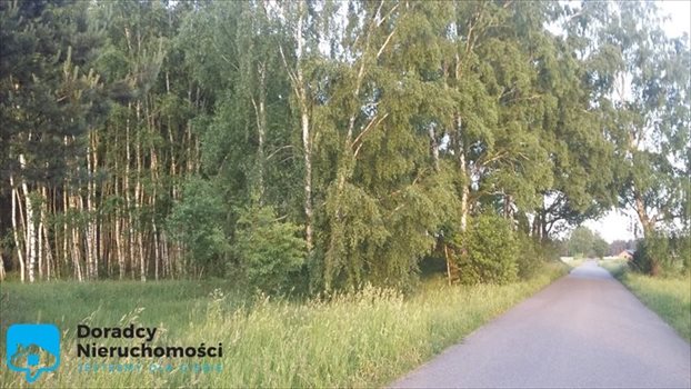 Działka rekreacyjna na sprzedaż Ziewanice 5 420m2 Foto 3