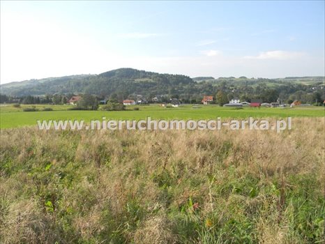 Działka budowlana na sprzedaż Dobra 1 300m2 Foto 8