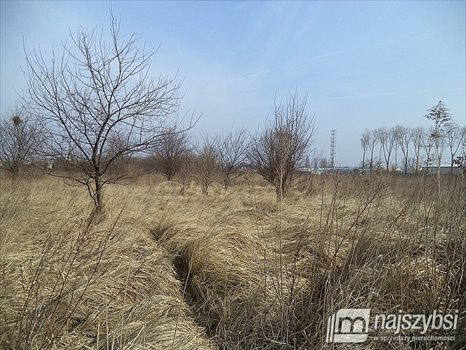 Działka budowlana na sprzedaż Szczecin, Mierzyn 1 415m2 Foto 5