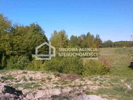Działka budowlana na sprzedaż Gdynia, Mały Kack 800m2 Foto 3