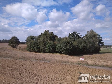 Działka siedliskowa na sprzedaż Kolincz, obrzeża 4 900m2 Foto 2