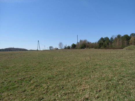 Działka budowlana na sprzedaż Kielno, Wiśniowa 1 002m2 Foto 3