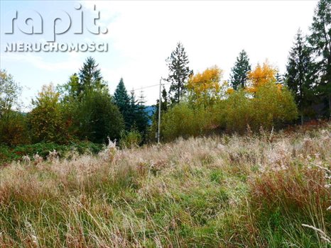 Działka budowlana na sprzedaż Poręba 1 430m2 Foto 6