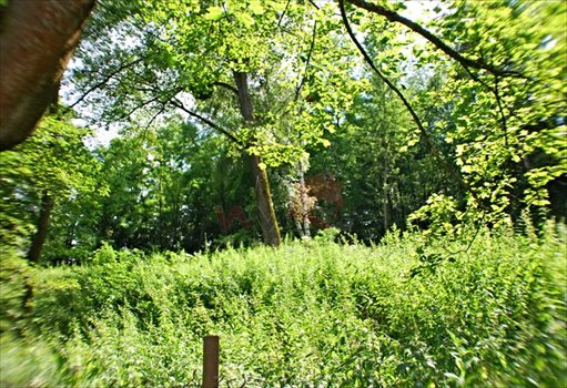 Działka budowlana na sprzedaż Nałęczów 5 600m2 Foto 3
