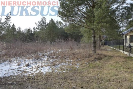 Działka budowlana na sprzedaż Łoś, Łoś 1 000m2 Foto 8