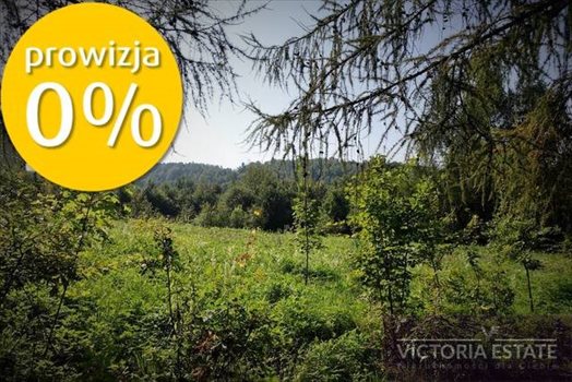 Działka budowlana na sprzedaż Włosań 2 600m2 Foto 4