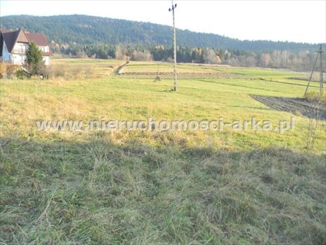 Działka budowlana na sprzedaż Kasina Wielka 1 600m2 Foto 2