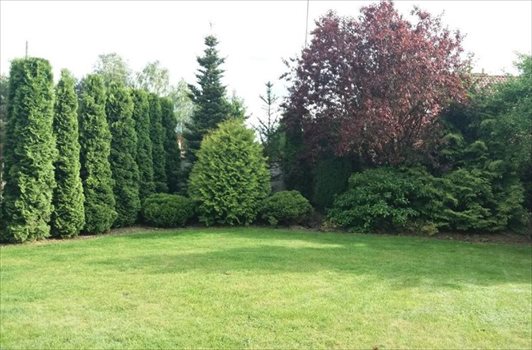 Dom na wynajem Zielona Góra 250m2 Foto 4