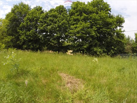 Działka rekreacyjna na sprzedaż Zarzęcin 300m2 Foto 9