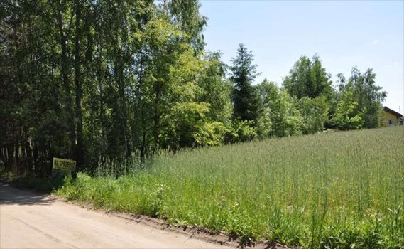 Działka budowlana na sprzedaż Promienko, Tawułowa 1 200m2 Foto 6