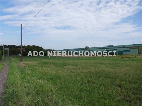 Działka inna na sprzedaż Gliwice 3 686m2 Foto 7