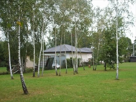 Działka budowlana na sprzedaż Lucynów, Warszawska 1 987m2 Foto 7