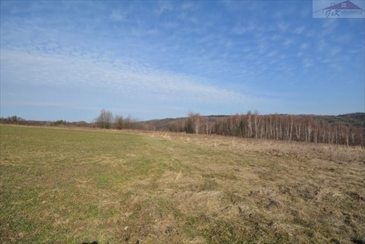 Działka rekreacyjna na sprzedaż Drohobyczka 5 800m2 Foto 6