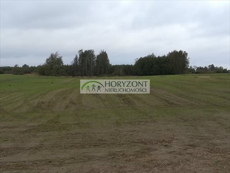 Działka budowlana na sprzedaż Małkowo 1 300m2 Foto 9