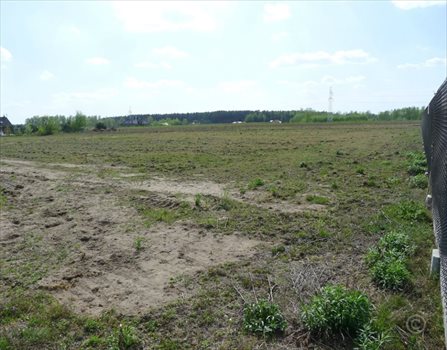 Działka rolna na sprzedaż Rosanów 3 106m2 Foto 3