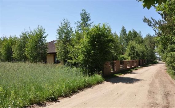 Działka budowlana na sprzedaż Promienko, Tawułowa 1 200m2 Foto 7