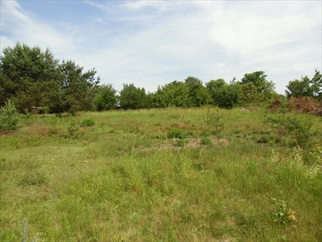 Działka budowlana na sprzedaż Chwaszczyno, Rzemieślników 1 040m2 Foto 2