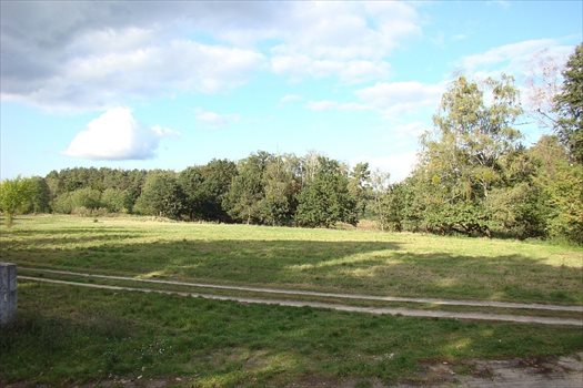 Działka inna na sprzedaż Sierakowo 6 546m2 Foto 3
