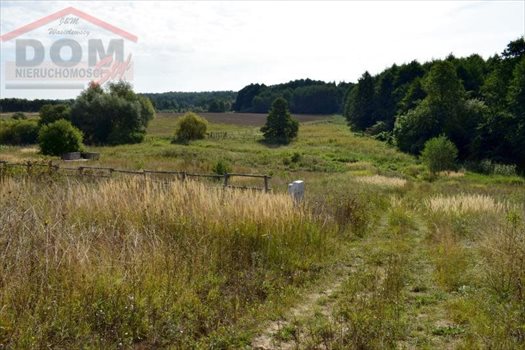 Działka inna na sprzedaż Gudowo, Jezioro, Las, Przystanek autobusowy, Tereny rekrea 58 626m2 Foto 7
