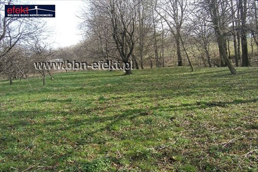 Działka inna na sprzedaż Bielsko-Biała, Kamienica 2 761m2 Foto 5