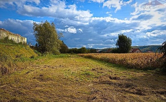 Działka budowlana na sprzedaż Ostrów 2 700m2 Foto 9