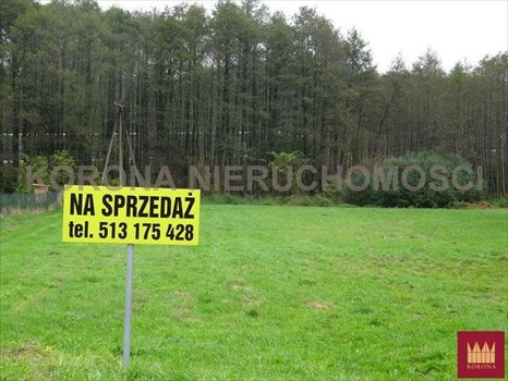 Działka budowlana na sprzedaż Rybnik 1 120m2 Foto 6
