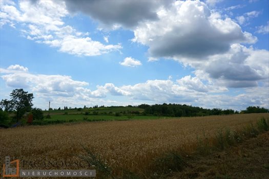 Działka budowlana na sprzedaż Bębło 2 900m2 Foto 3