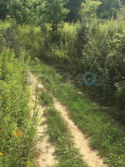 Działka rolna na sprzedaż Parchatka 10 003m2 Foto 5