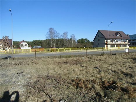 Działka budowlana na sprzedaż Bojano, Wybickiego 1 555m2 Foto 3