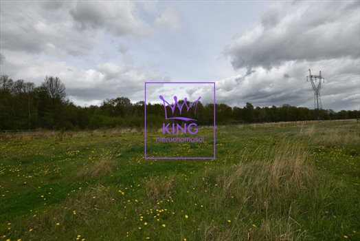 Lokal użytkowy na sprzedaż Rożnowo Nowogardzkie 120 000m2 Foto 4