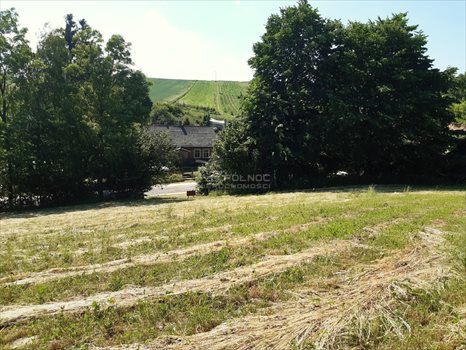 Działka inna na sprzedaż Zasępiec 20 990m2 Foto 3